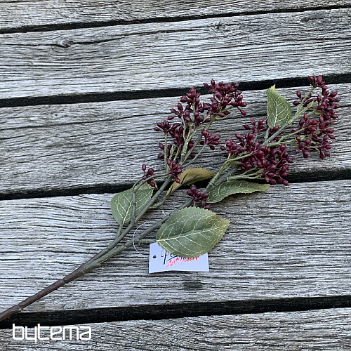 DRY VIBURNUM TINUS 58 cm vínová