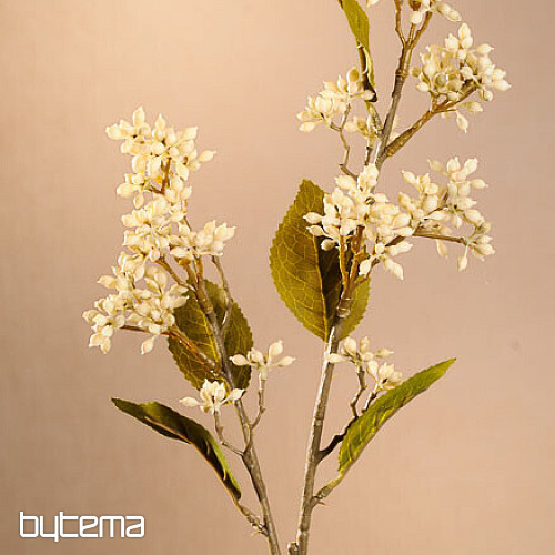 DRY VIBURNUM TINUS 58 cm bílá