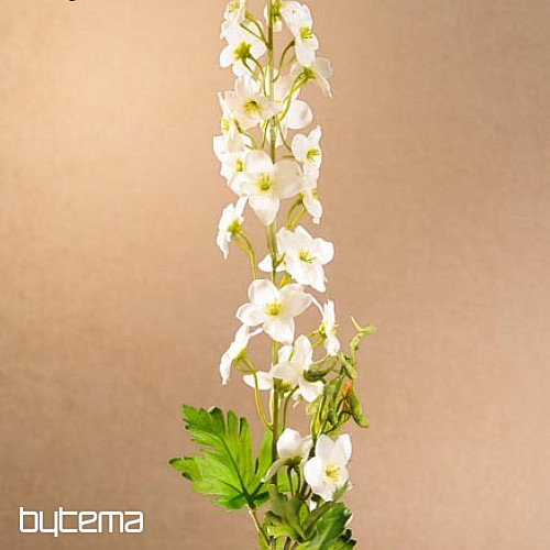 DELPHINIUM BÍLÁ