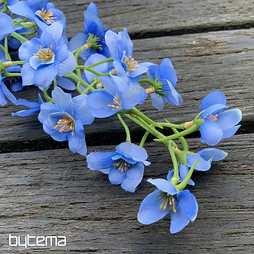 DELPHINIUM MODRÁ
