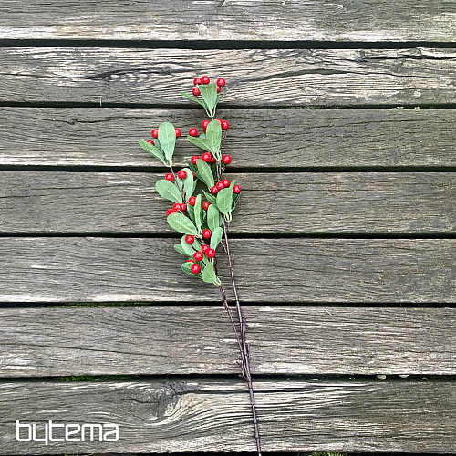 BARRY STEM ČERVENÁ