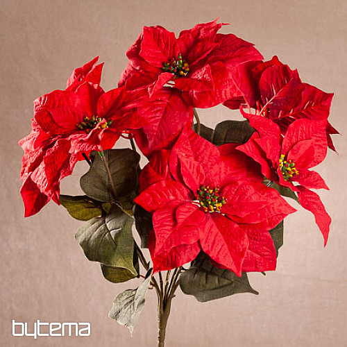 Vánoční růže TRS ČERVENÁ