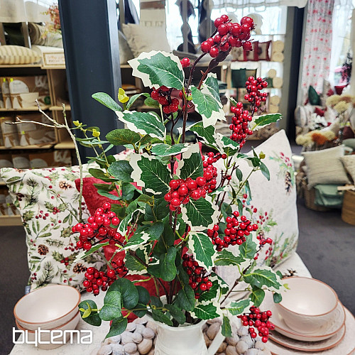 BERRY SPRAY červené