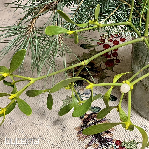 Vánoční gobelínový ubrus kulatý ŠIŠKA a JMELÍ