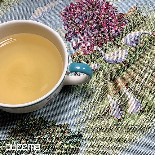 Gobelínový ubrus a šál VENKOV