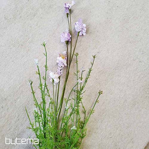 LUČNÍ KVÍTÍ FIALOVÉ