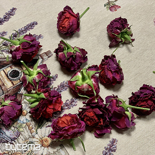 Gobelínový ubrus a šál PTAČÍ BUDKA