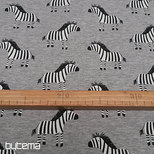 Bavlněný úplet potisk ZEBRY šedá