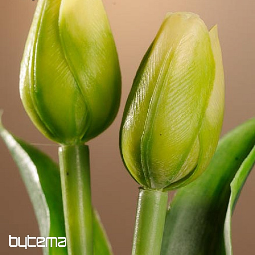Tulipány mix barev