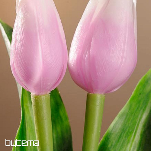 Tulipány mix barev