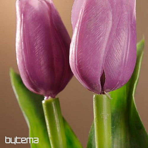 Tulipány mix barev