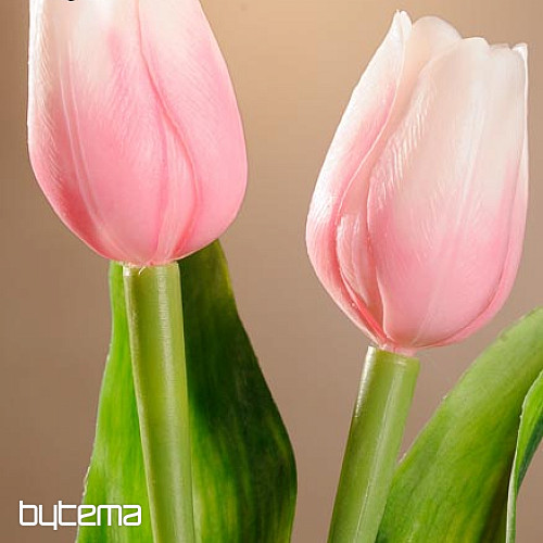 Tulipány mix barev