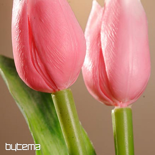 Tulipány mix barev