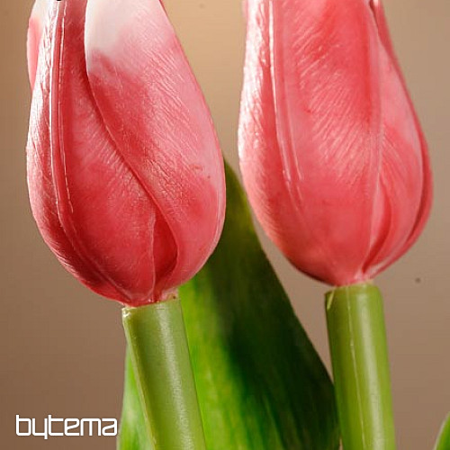 Tulipány mix barev