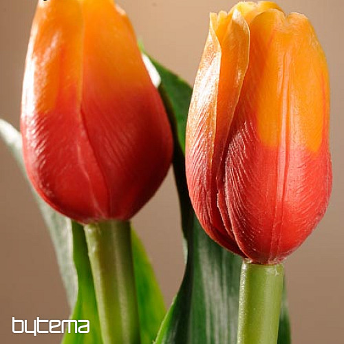 Tulipány mix barev