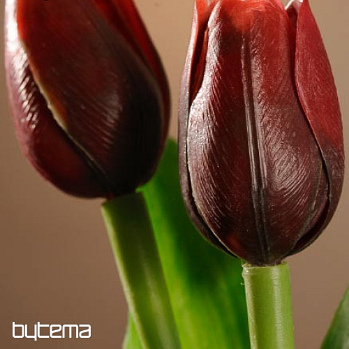 Tulipány mix barev