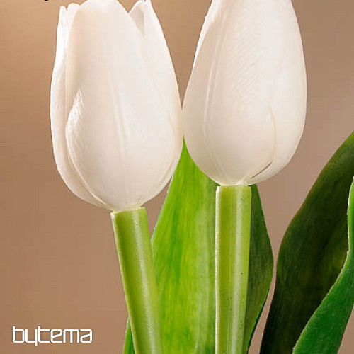Tulipány mix barev