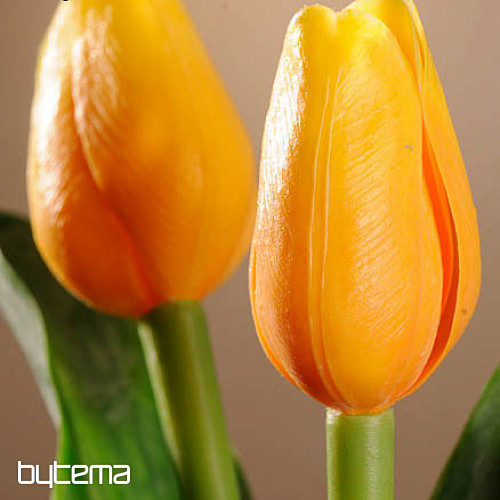 Tulipány mix barev